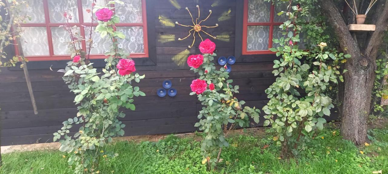 Apartament Ket Puli Vendeghaz Bekescsaba Zewnętrze zdjęcie