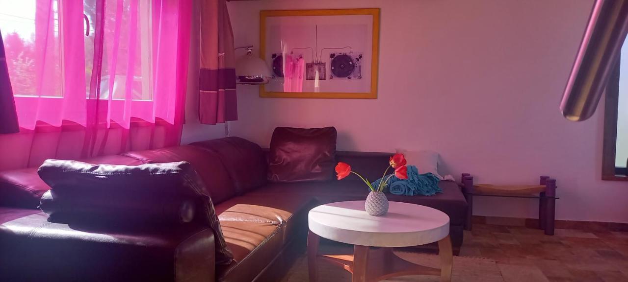 Apartament Ket Puli Vendeghaz Bekescsaba Zewnętrze zdjęcie