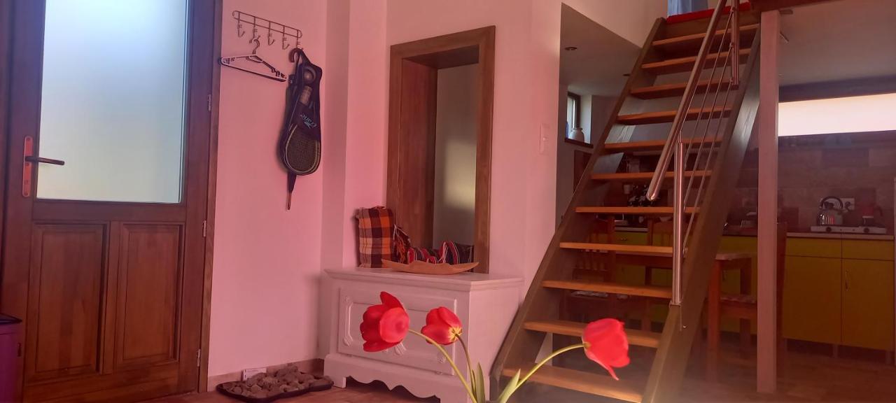 Apartament Ket Puli Vendeghaz Bekescsaba Zewnętrze zdjęcie