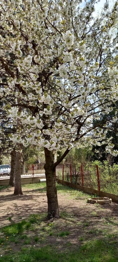 Apartament Ket Puli Vendeghaz Bekescsaba Zewnętrze zdjęcie